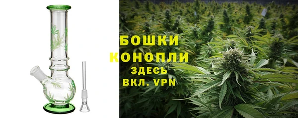 трава Протвино